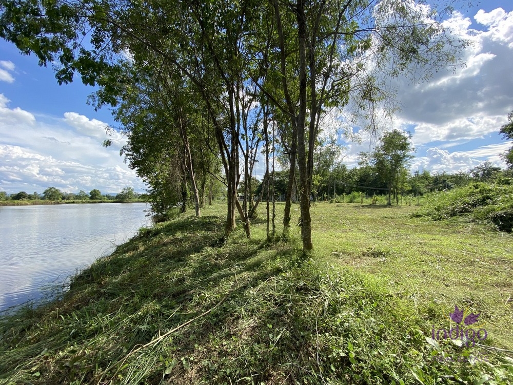 ขายที่ดิน - ดอยสะเก็ด