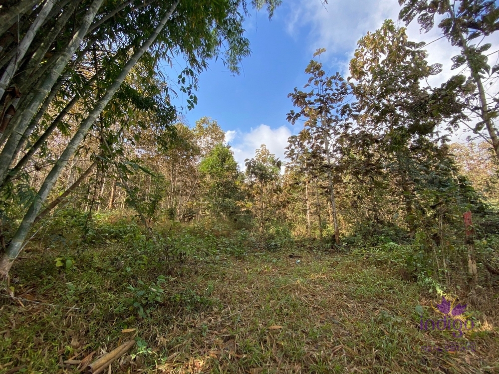 Land for Sale - Samoeng