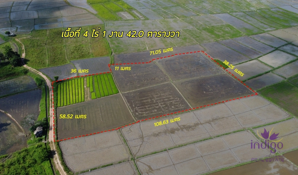 ขายที่ดิน - แม่ริม