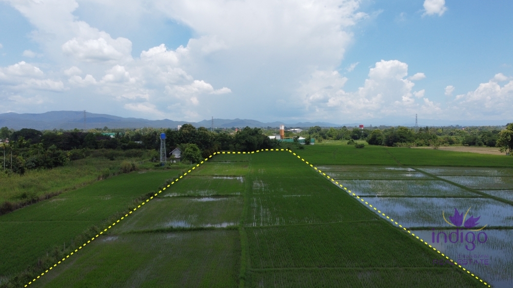 Land for Sale - Mae Rim