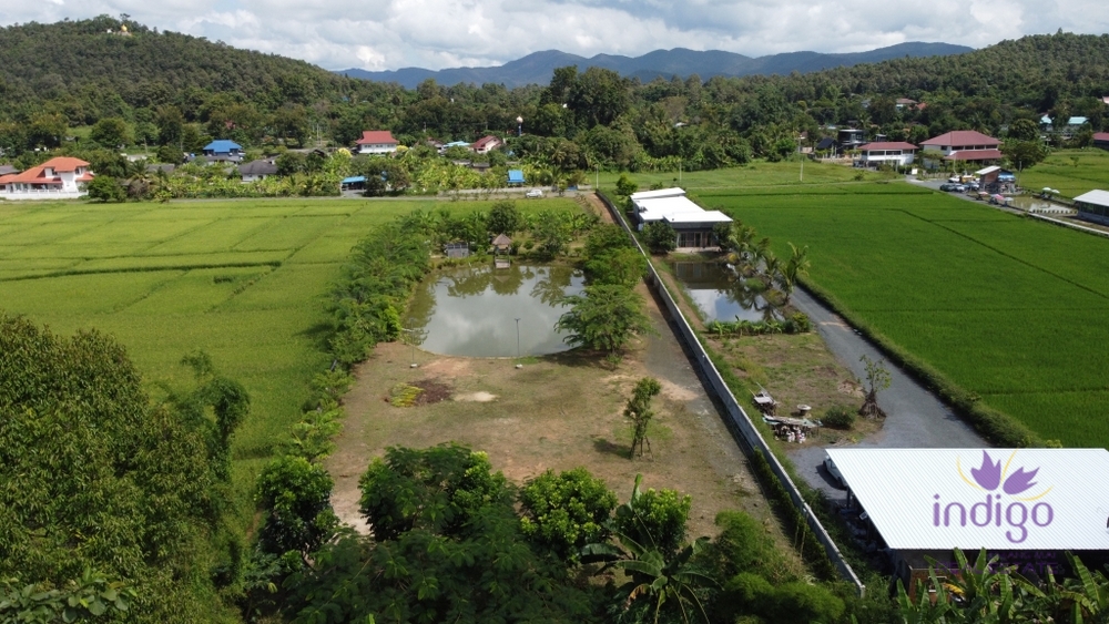 ขายที่ดิน - ดอยสะเก็ด