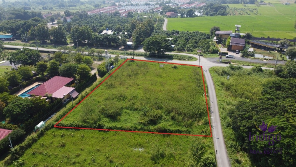 Land for Sale - San Pa Tong