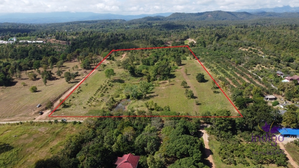 Land for Sale - Mae Taeng