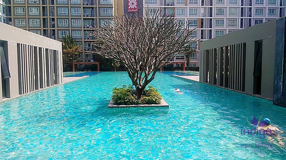 คอนโดมิเนียมให้เช่า - เมืองเชียงใหม่