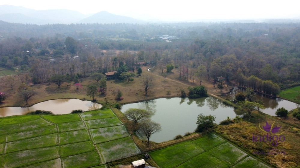 Beautiful 61 rai property with beautiful view of lakes and hills in a lovely, peaceful area only 30 min from Chiang Mai city.
