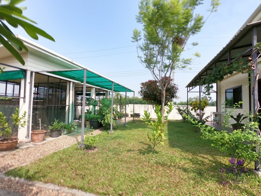 Houses for Sale - Doi Saket