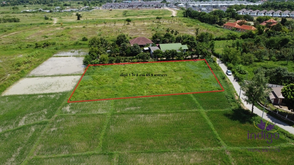 Land for Sale - San Sai