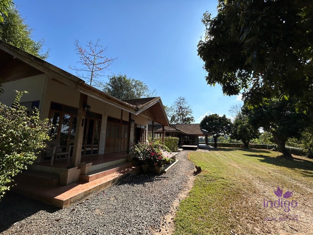 Urgent sale! Large 8 rai property with 2 houses for sale in Luang Nuea