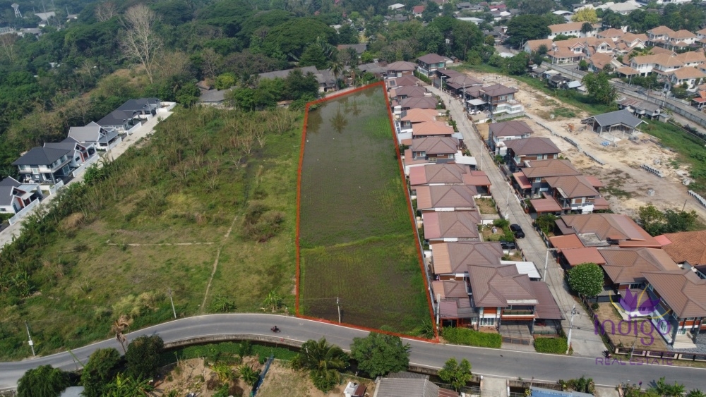 Land for Sale - San Sai