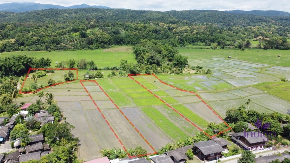 Land for Sale - Mae Taeng