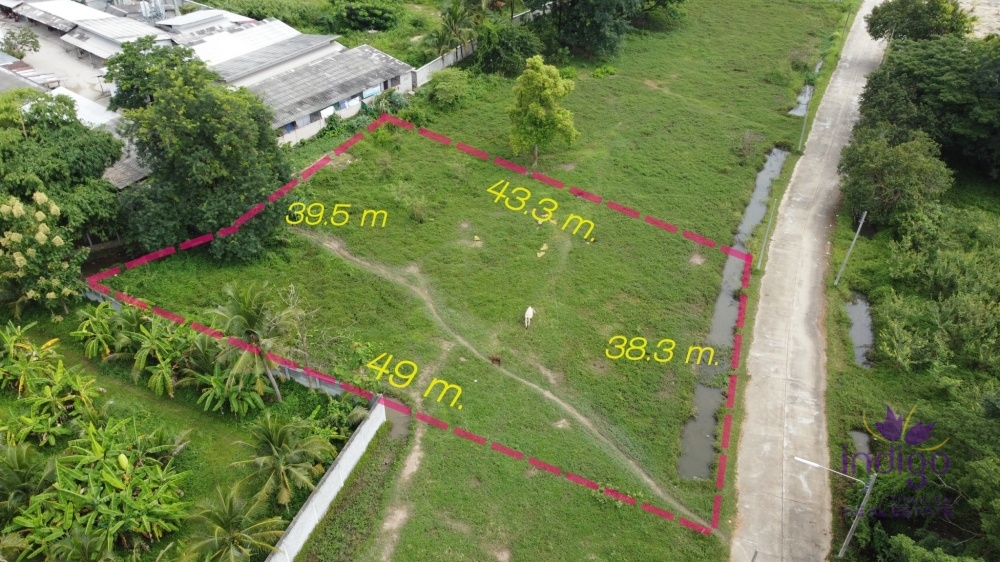 Land for Sale - San Sai