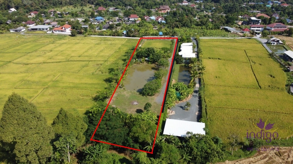 Land for Sale - Doi Saket