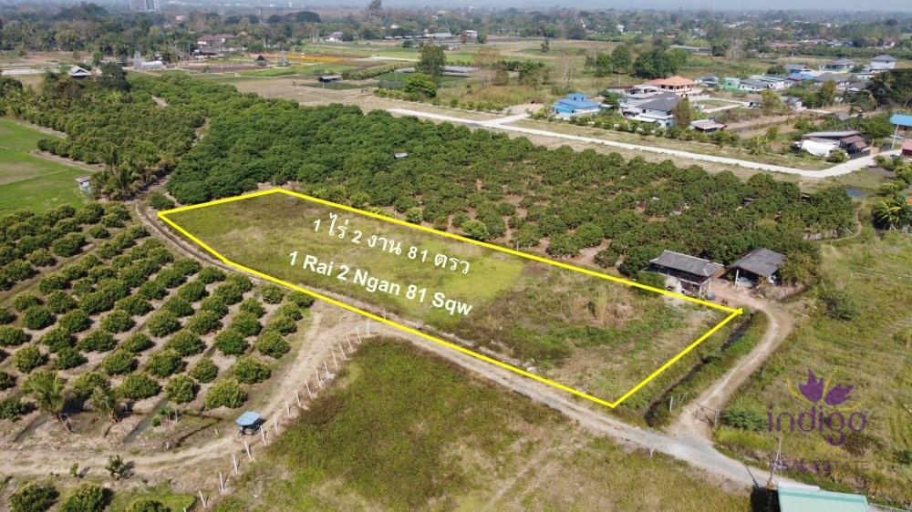 Land for Sale - Mae Rim