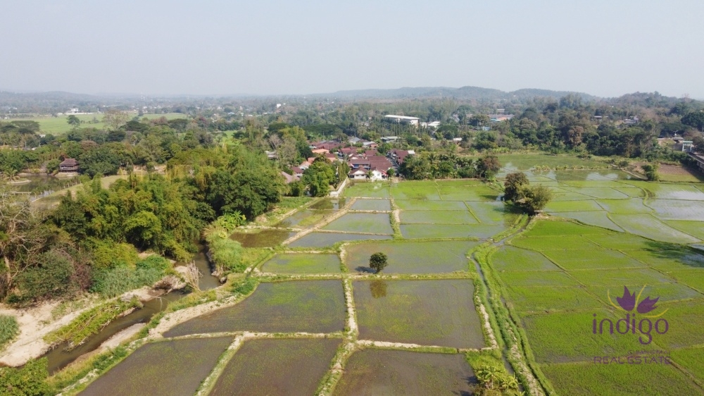 Land for Sale - Mae Rim