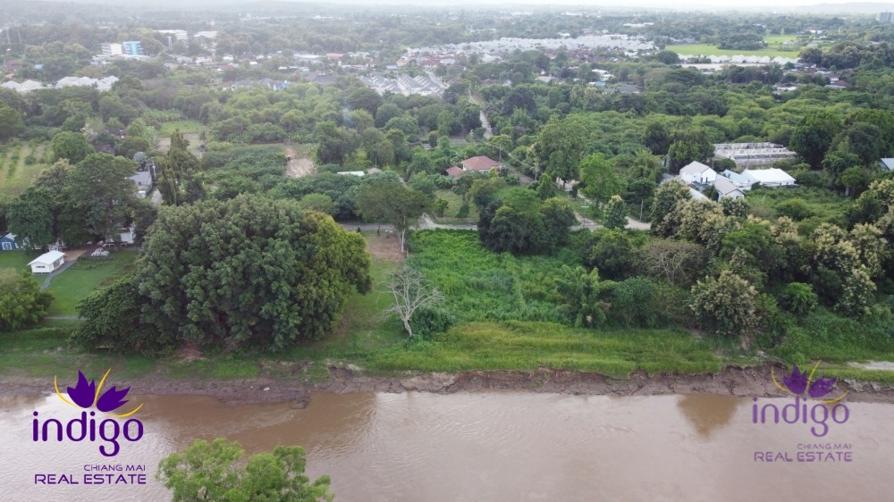 ขายที่ดิน - แม่ริม