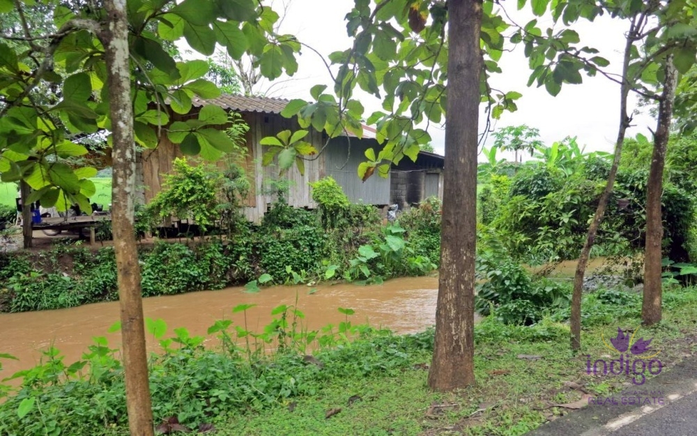 Land for Sale - Mae Taeng