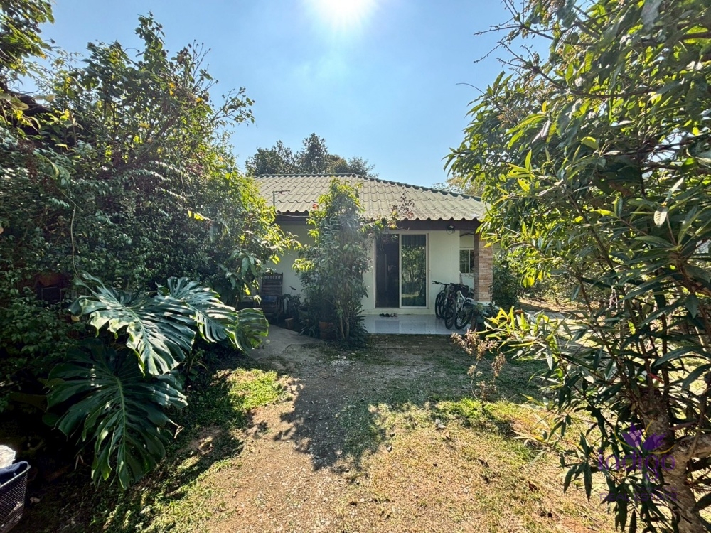 Houses for Sale - San Kamphaeng