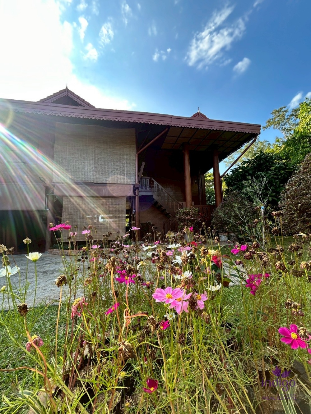 Houses for Sale - San Sai