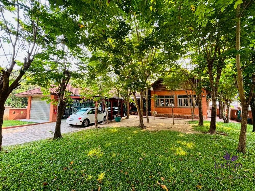 Spacious Single-Story Home on 212 Sq. Wah | Near Chiang Mai University (CMU) Prime Location | Massive Private Yard | High-Quality Red Brick Construction