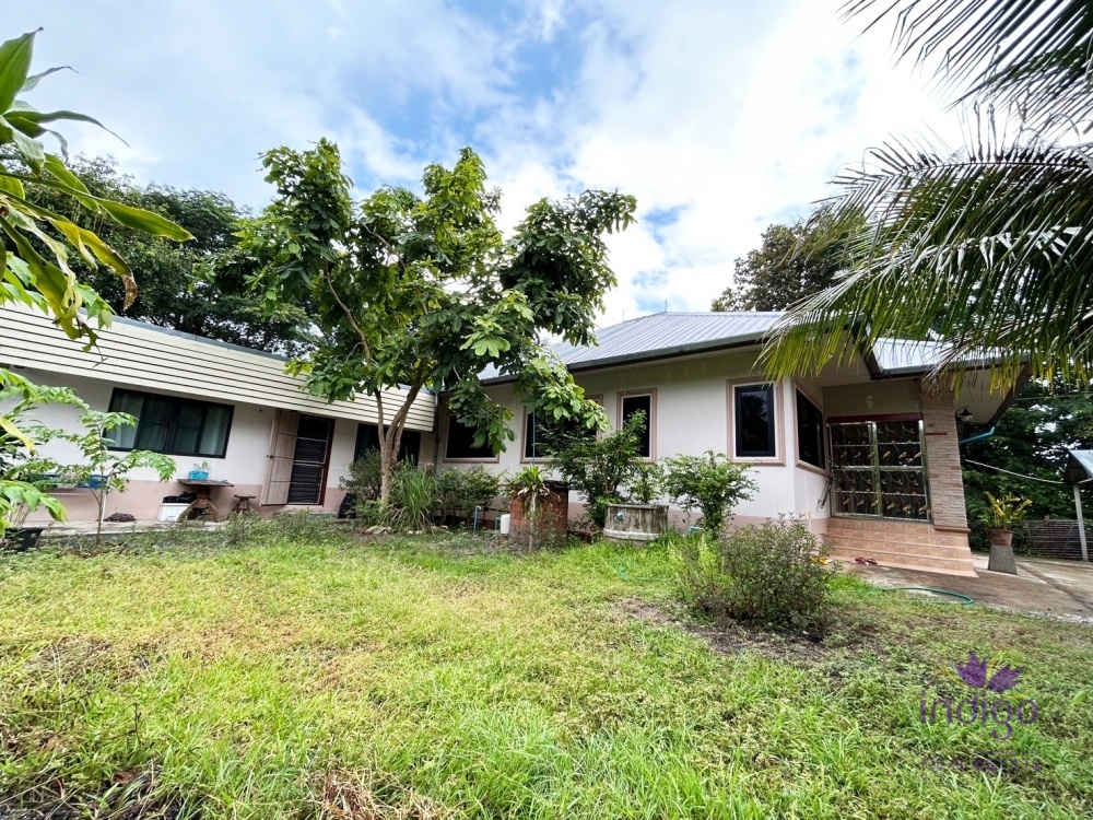 Houses for Sale - San Kamphaeng