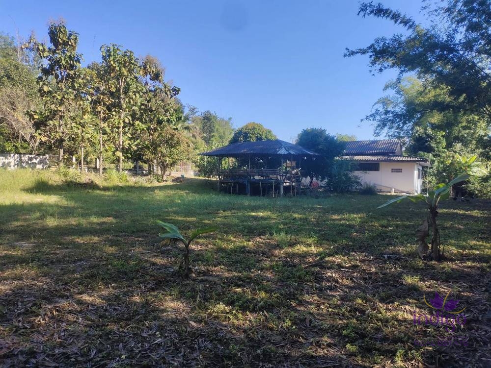 Land for Sale - Chiang Dao