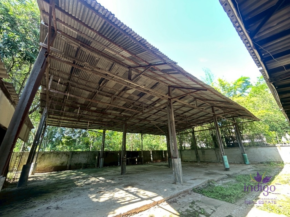 Commercial for Rent - Mueang Chiang Mai