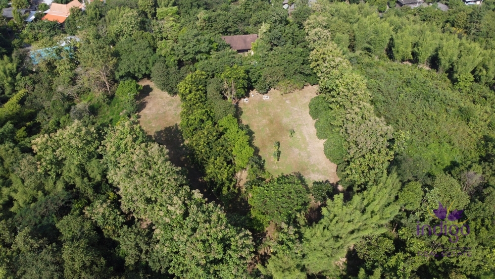 Land for Sale - San Pa Tong