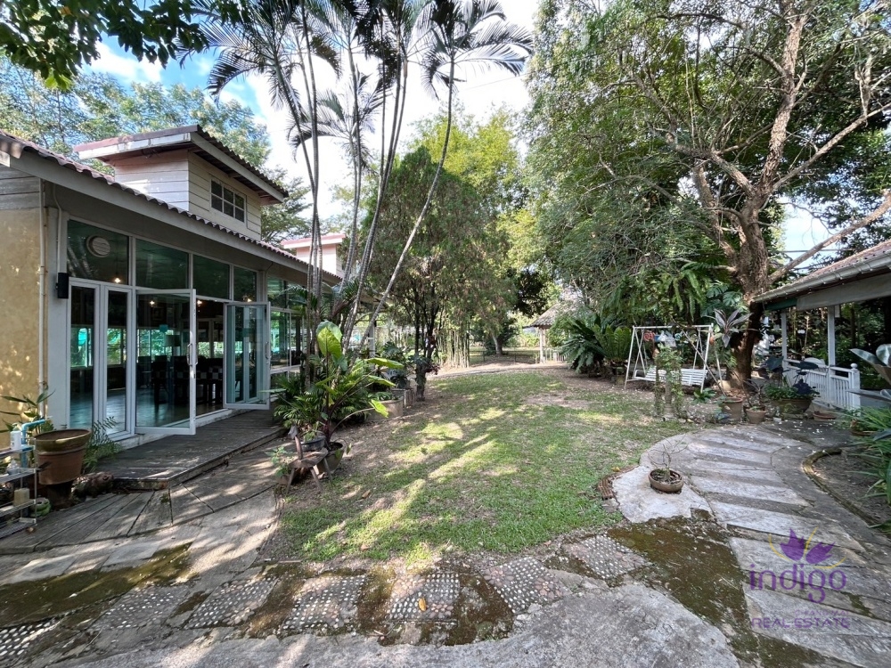 Commercial for Rent - Mae Rim
