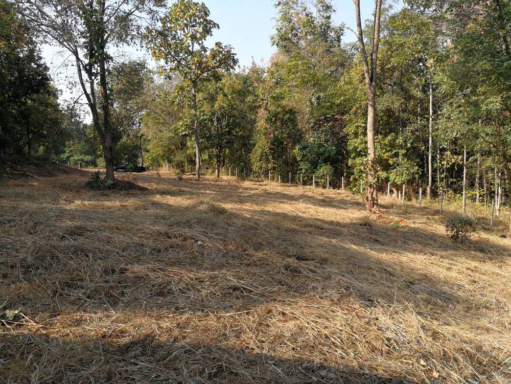 Land for Sale - Doi Saket