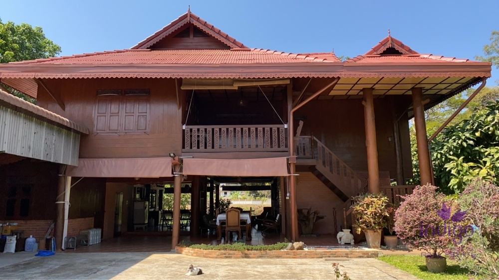 Houses for Sale - San Sai