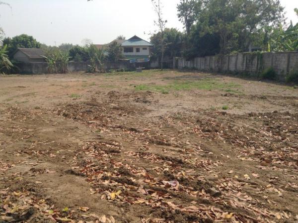 Land for Sale - Mueang Chiang Mai