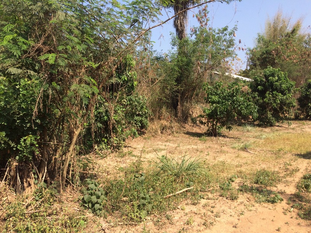 Land for Sale - Hang Dong