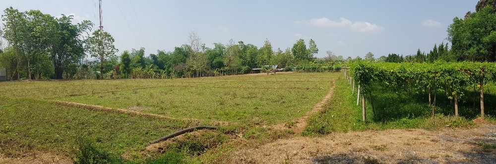 Land for Sale - Mae On