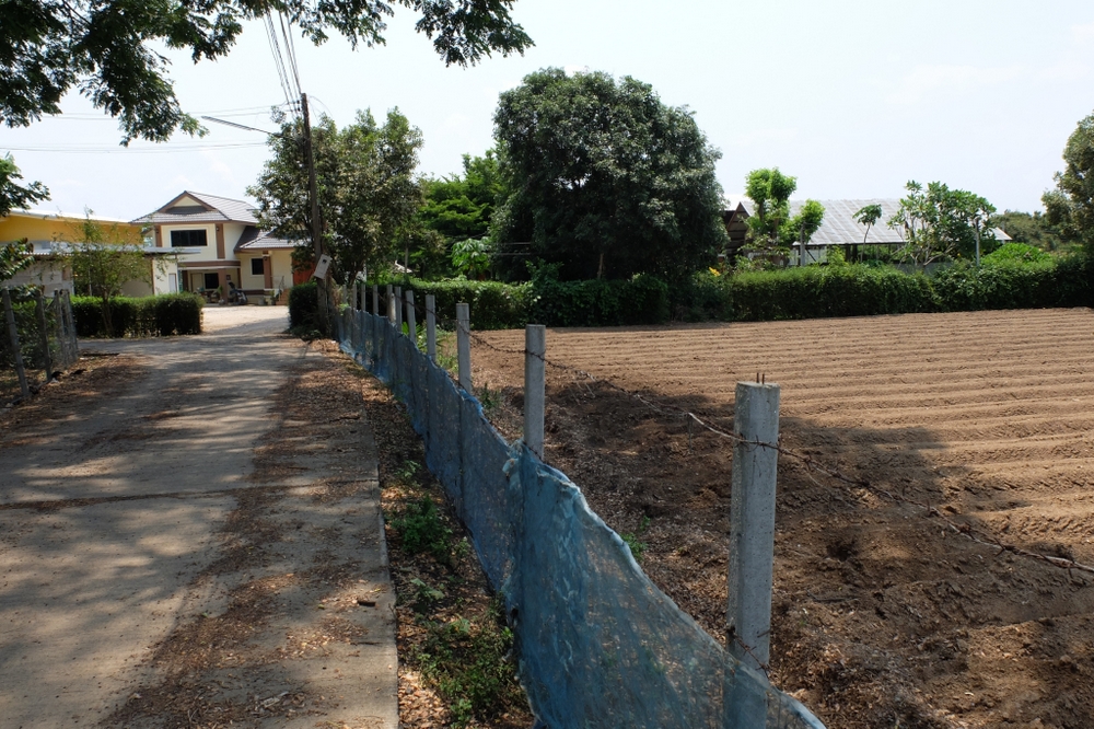 Land for Sale - San Sai