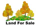 Land for Sale - San Sai