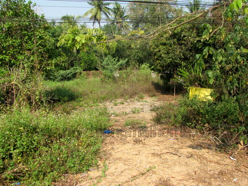 Land for Sale - San Sai